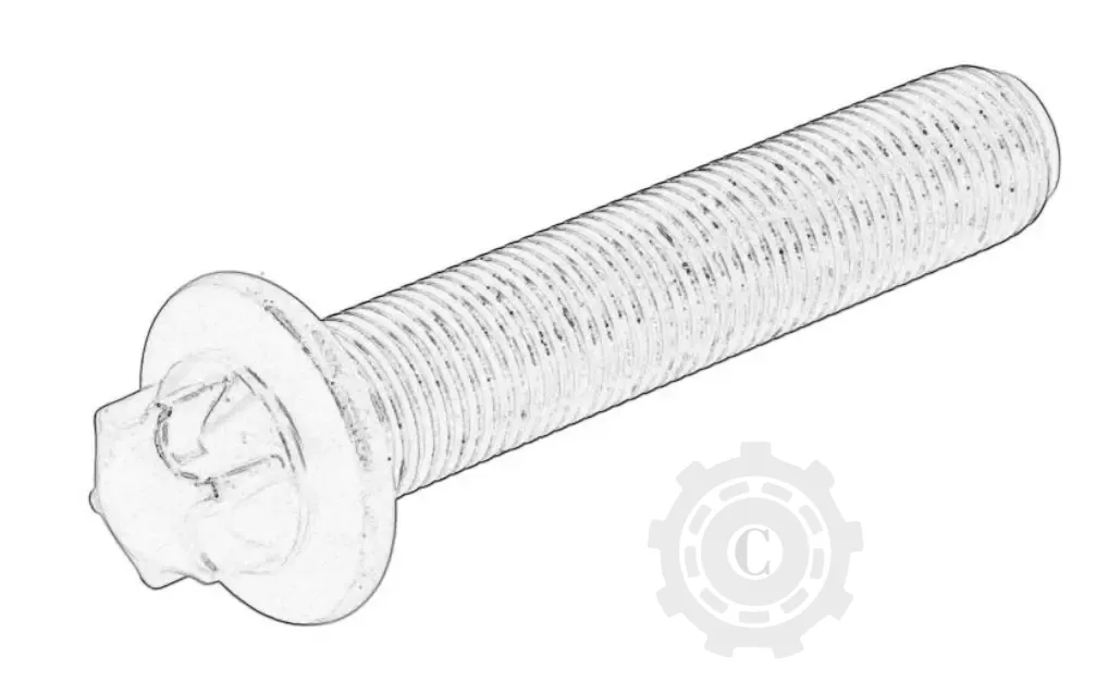 [CP084868] SURUB BIELA PERKINS