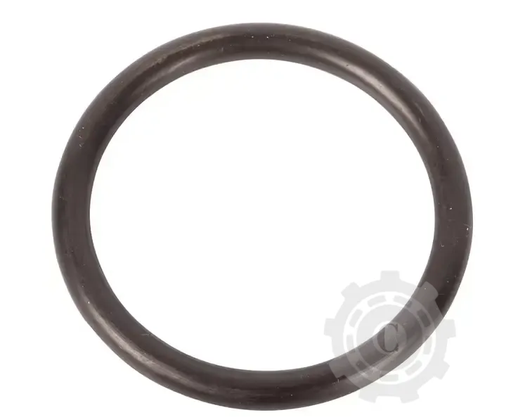 [CP084882] O-RING F1056R