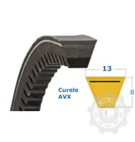 [CP084956] CUREA AVX 13X1200 LA CODEX