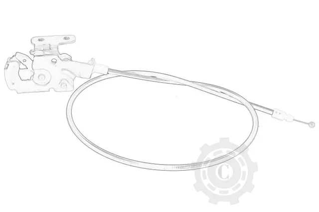 [CP085478] INCUIETOARE USA