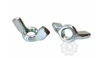 [CP085971] PIULITA FLUTURE M16