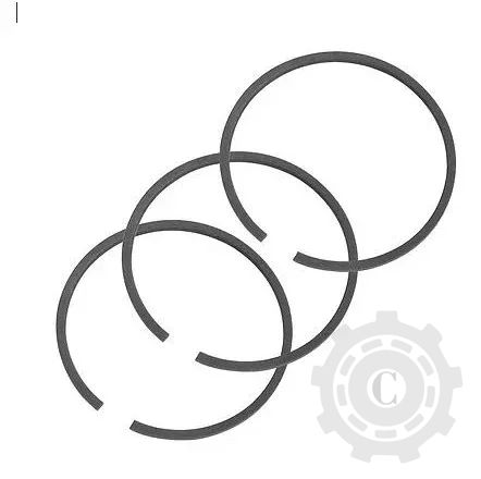 [CP001770] SET SEGMENTI DE PISTON