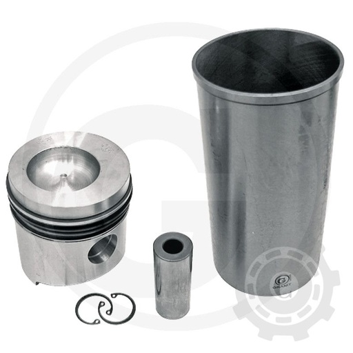 [CP001783] Set motor potrivit pt. Fendt/Renault