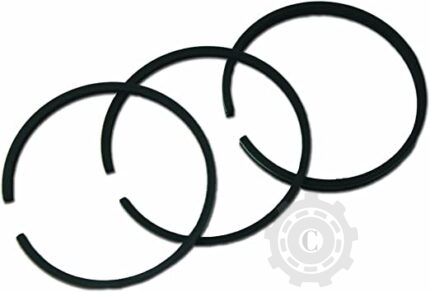 [CP001206] SET SEGMENTI PISTOANE