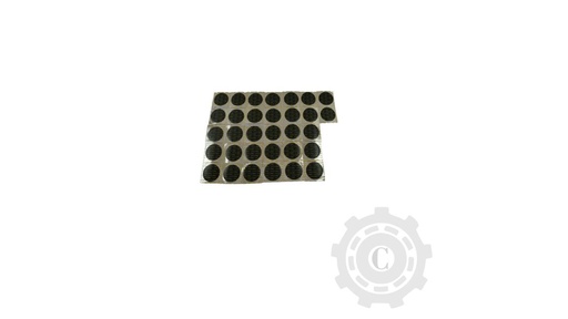 [CP009185] PETIC PANG PP4