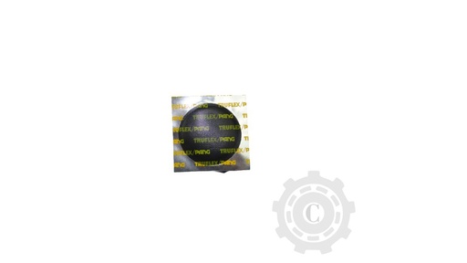 [CP009183] PETIC PANG PP3