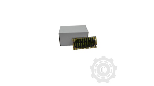 [CP009173] PETIC PP8