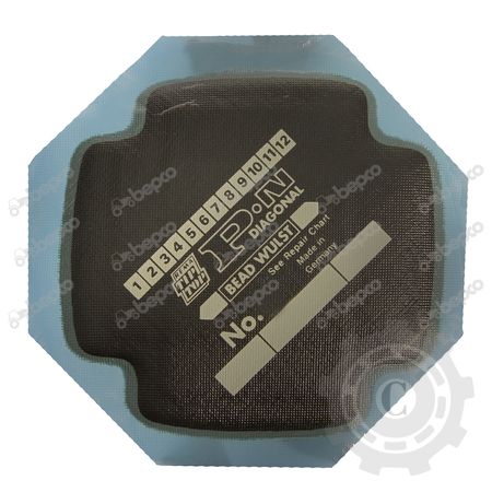 [CP017563] PETIC ANV.