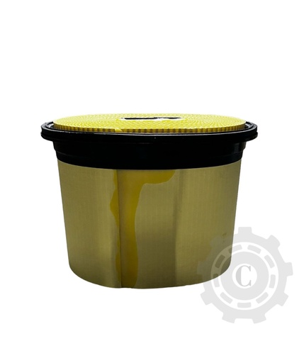 [CP025927] Filtru aer