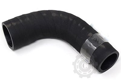 [CP012034] COT RACIRE FI40