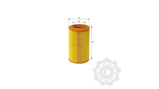 [CP004338] FILTRU P953553