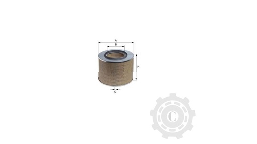 [CP004343] FILTRU XA1827