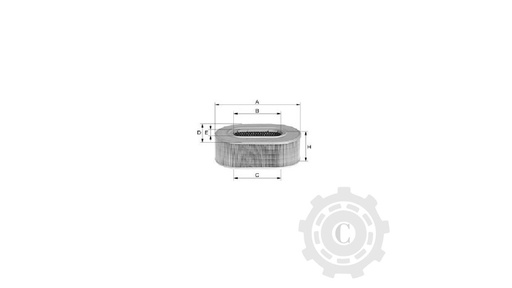 [CP004616] FILTRU FL6518