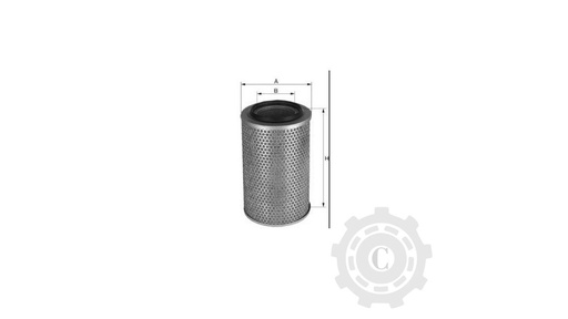 [CP004393] FILTRU SA10942