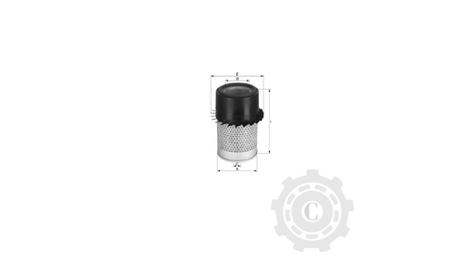 [CP004434] FILTRU P130763