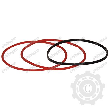 [CP012813] SET INELE CILINDRU MOTOR
