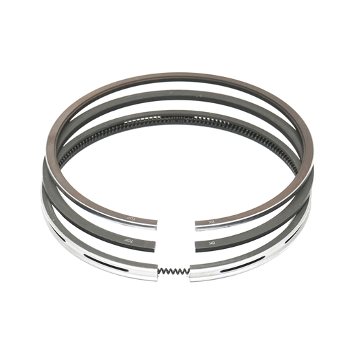 [CP031119] SEGMENTI U445 CN/R1