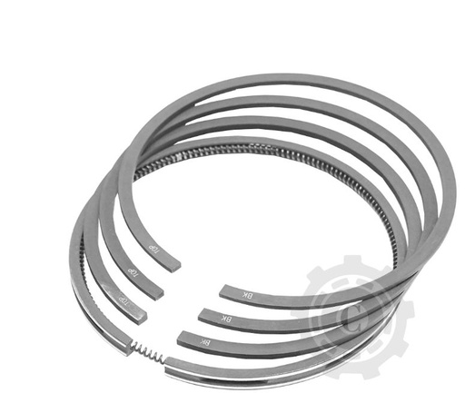 [CP018276] SEGMENTI COMPRESOR RABA