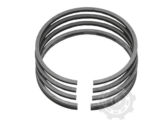 [CP013504] SEGMENTI COMPRESOR U650 FI 65 2,5x2,5x2,5x4mm