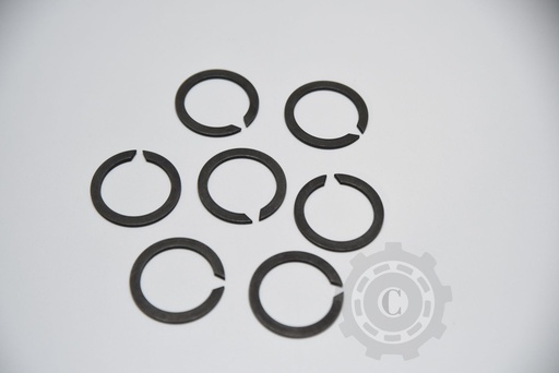 [CP012833] INEL ELASTIC
