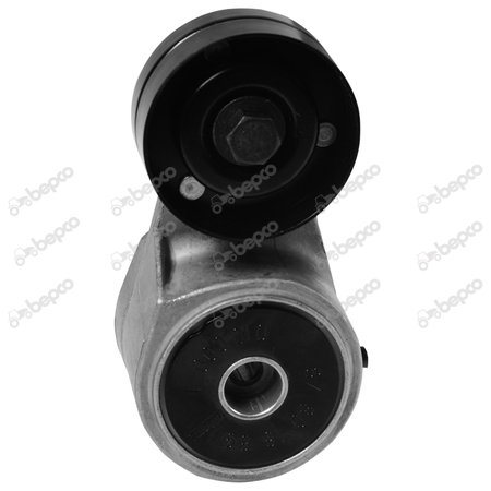 [CP026593] INTINZATOR CUREA NH
