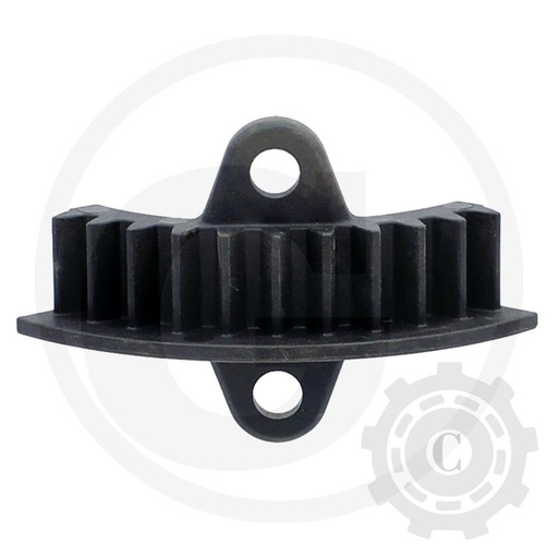 [CP031096] SEGMENT JD