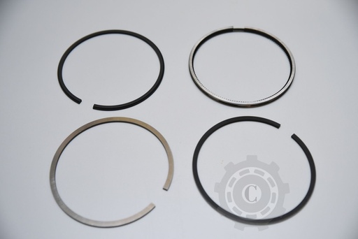 [CP012965] SEGMENTI 29/34-307
