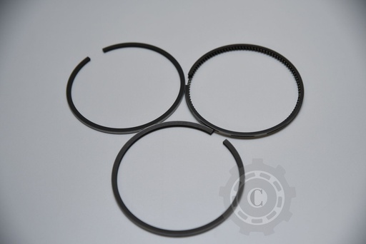 [CP012915] SEGMENTI MOTOR FI98.4