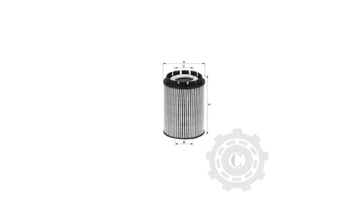 [CP004133] FILTRU HU713/1X
