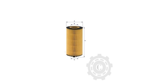 [CP003628] FILTRU SO7237