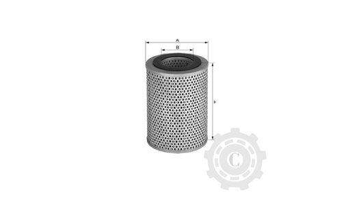 [CP003316] FILTRU P164906