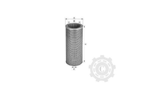 [CP003280] FILTRU P171819