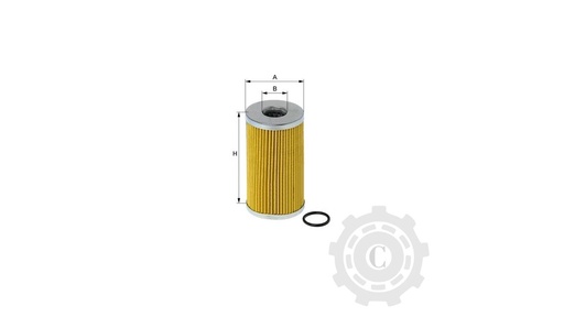 [CP003798] FILTRU XH322