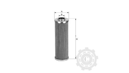 [CP003533] FILTRU 3689669M1