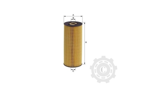 [CP004004] FILTRU SO633