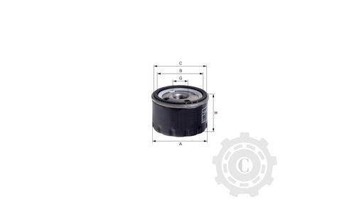 [CP003640] FILTRU FT4763