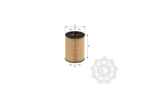 [CP004153] FILTRU HU719/8X
