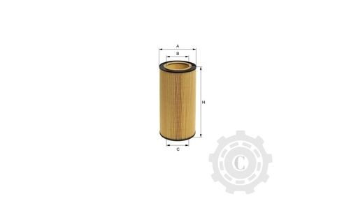[CP003487] FILTRU HU1297X