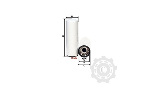 [CP003968] FILTRU P559000