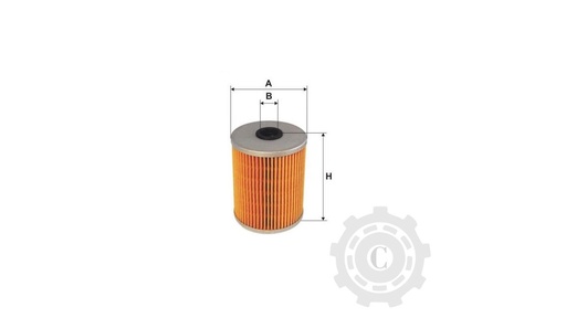[CP003630] FILTRU H43/2