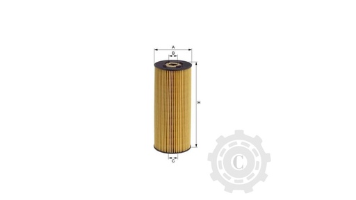 [CP003942] FILTRU FA5560