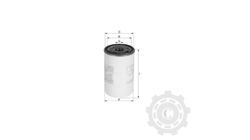 [CP004145] FILTRU XS6213