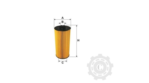 [CP003480] FILTRU P550769