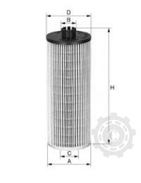[CP003078] FILTRU XNE107