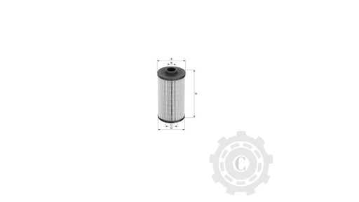[CP003256] FILTRU XNE295