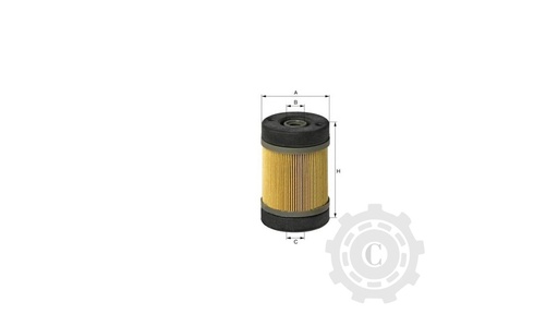 [CP003096] FILTRU X770734