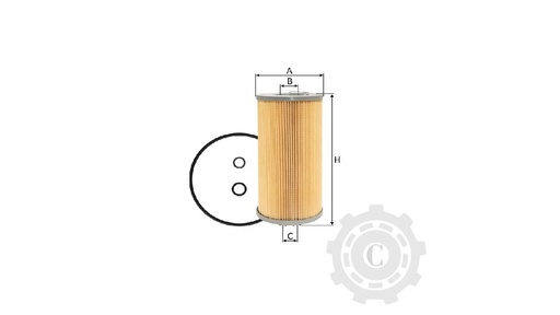 [CP003888] FILTRU XNE2020