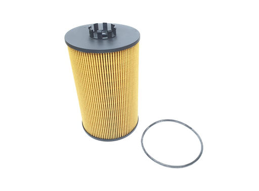 [CP004009] FILTRU ULEI MA51055040122