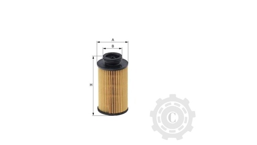 [CP003441] FILTRU UREE XU13