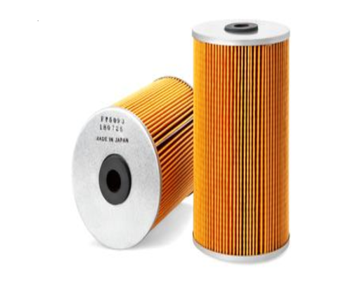 [CP003479] FILTRU FF5093
